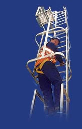 Bespoke Ladders