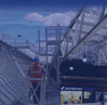 Mobile Safety Cages