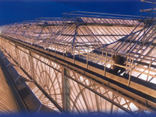 Roof Access System at Glasgow Central Sation