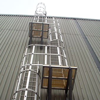 Fixed Access Ladders