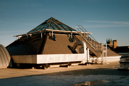 Roof Access Ladder